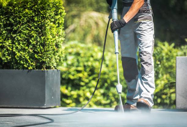 Best Gutter Cleaning and Brightening in New Sarpy, LA